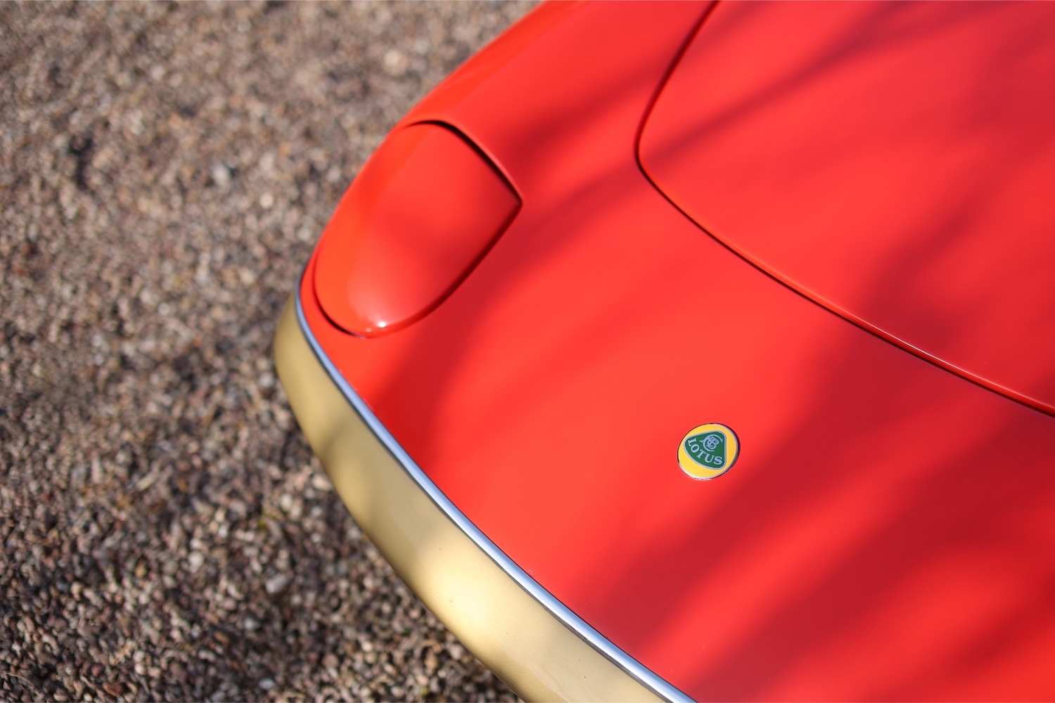 Used Lotus Elan 2018 for sale - 77775269: Photo 4