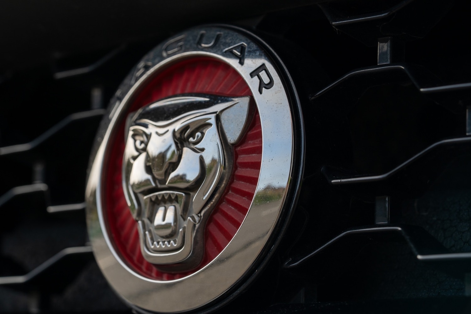 Used Jaguar F-Type 2017 for sale - 76568333: Photo 4