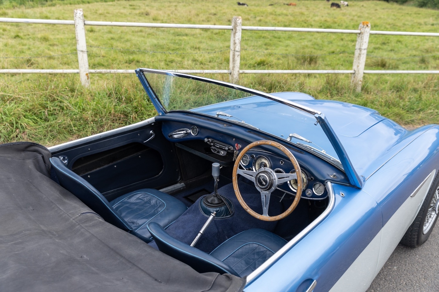 Used Austin Healey 1982 for sale - 76366370: Photo 3