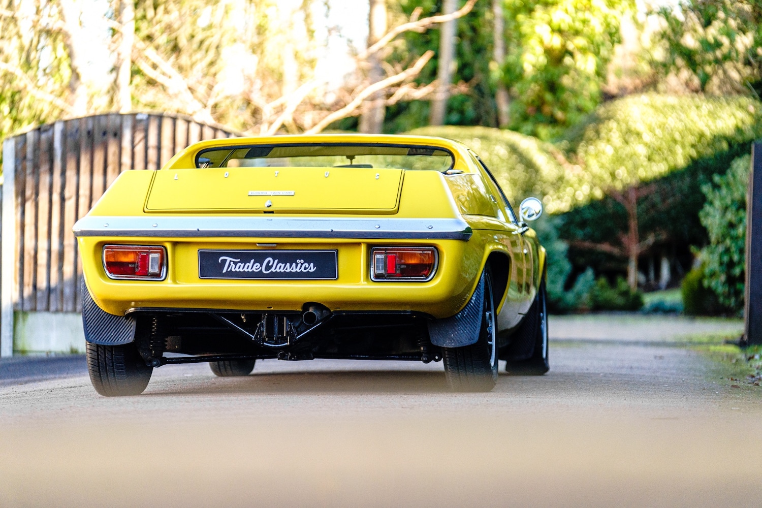 Used Lotus Europa 1971 for sale - 77610341: Photo 10