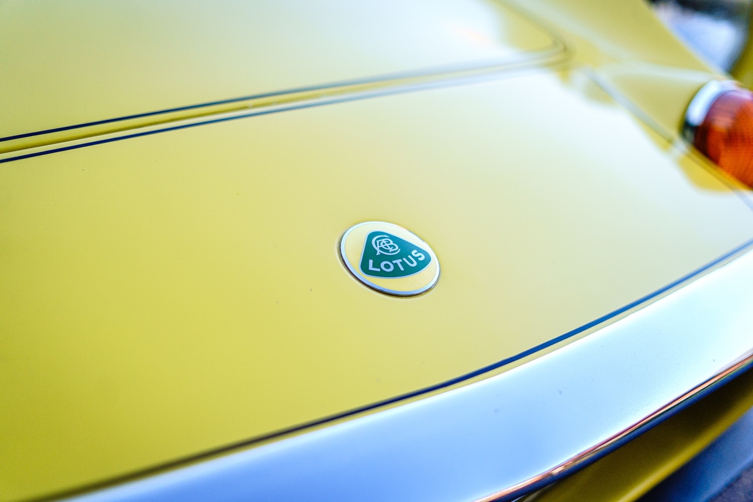 Used Lotus Europa 1971 for sale - 77610341: Photo 4