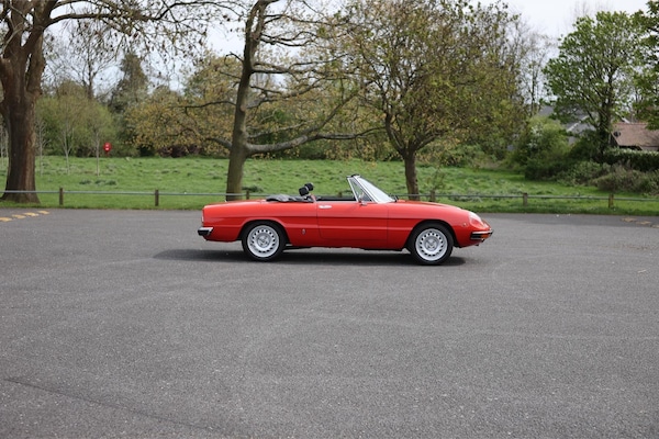 Used Alfa Romeo Spider 1976 for sale - 76225404: Photo 6