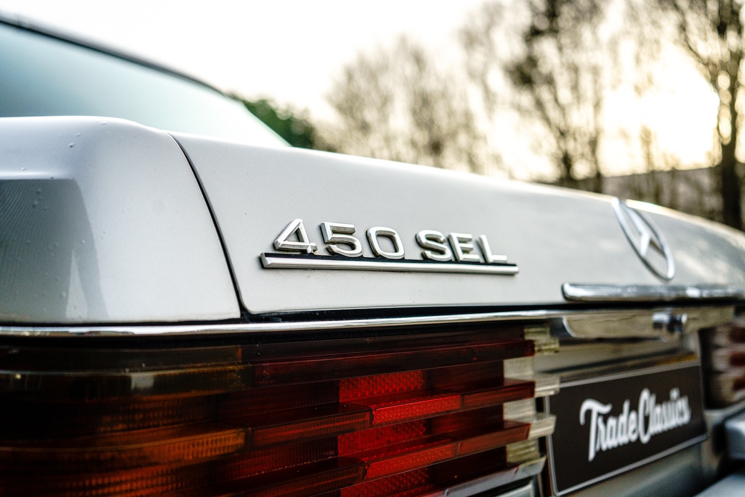 Used Mercedes-Benz 450 SEL 1978 for sale - 77610356: Photo 8