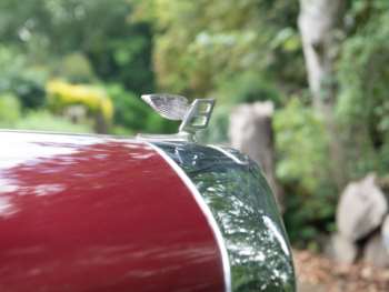 Used Bentley Continental 1960 for sale - 75361867: Photo