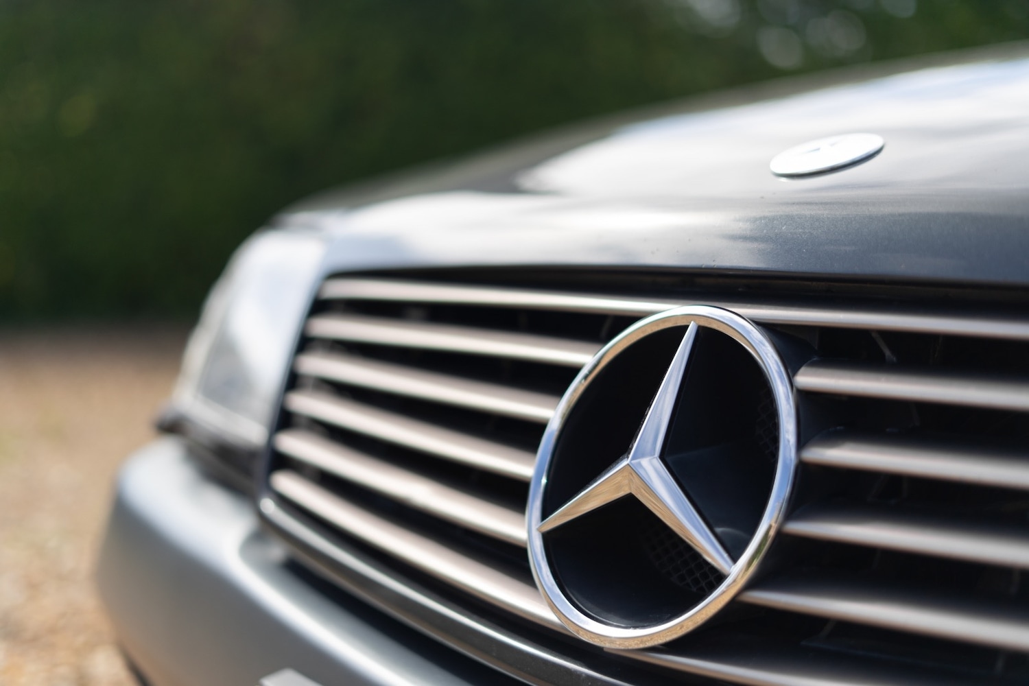 Used Mercedes-Benz S-Class 1994 for sale - 76070669: Photo 4
