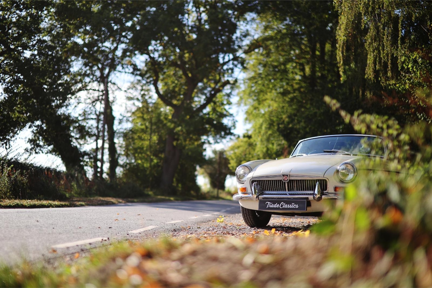 Used MG Other 1967 for sale - 78112689: Photo 8