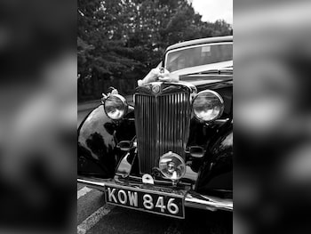 Used MG Y-Type 1950 for sale - 79246764: Photo