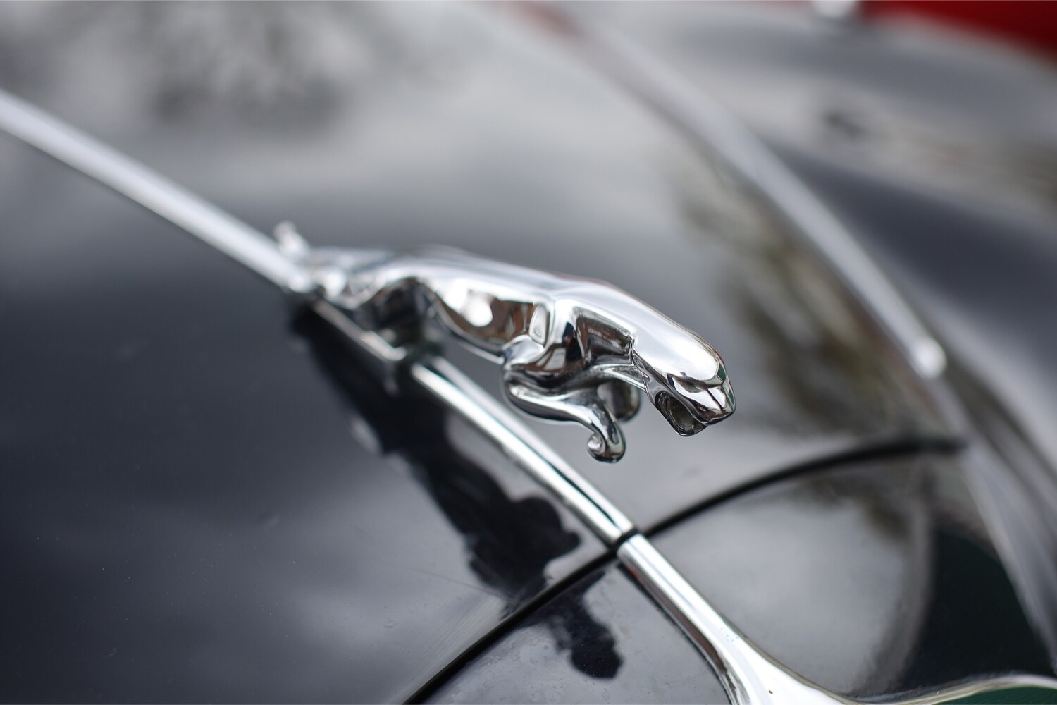 Used Jaguar Mark II 1956 for sale - 78183229: Photo 8