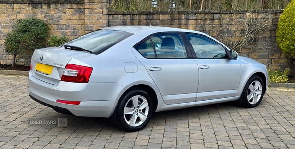 Used Skoda Octavia 2016 for sale - 78063229: Photo 3