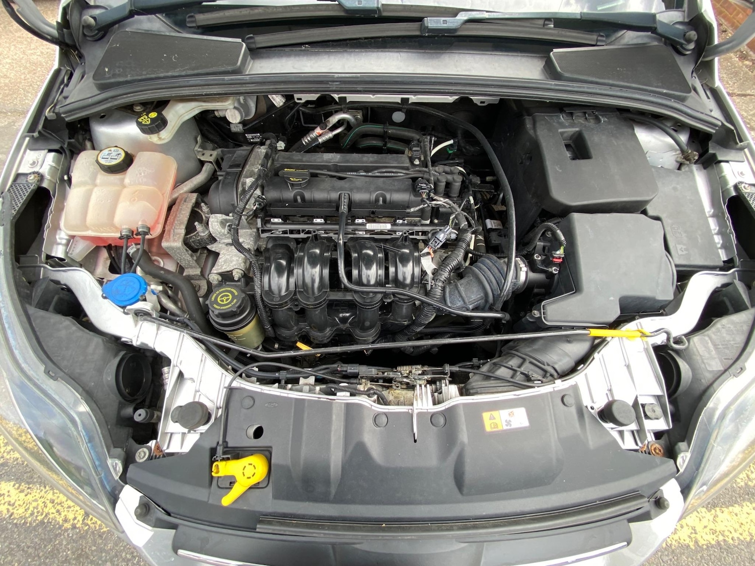 Used Ford Focus for sale - 76996776: Photo 59