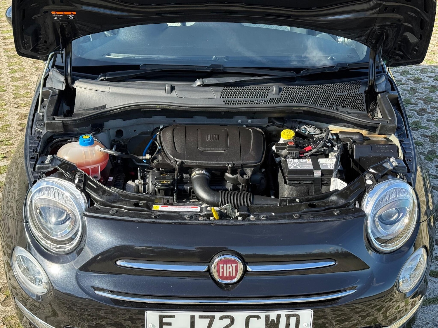 Used Fiat 500 2022 for sale - 77115890: Photo 57