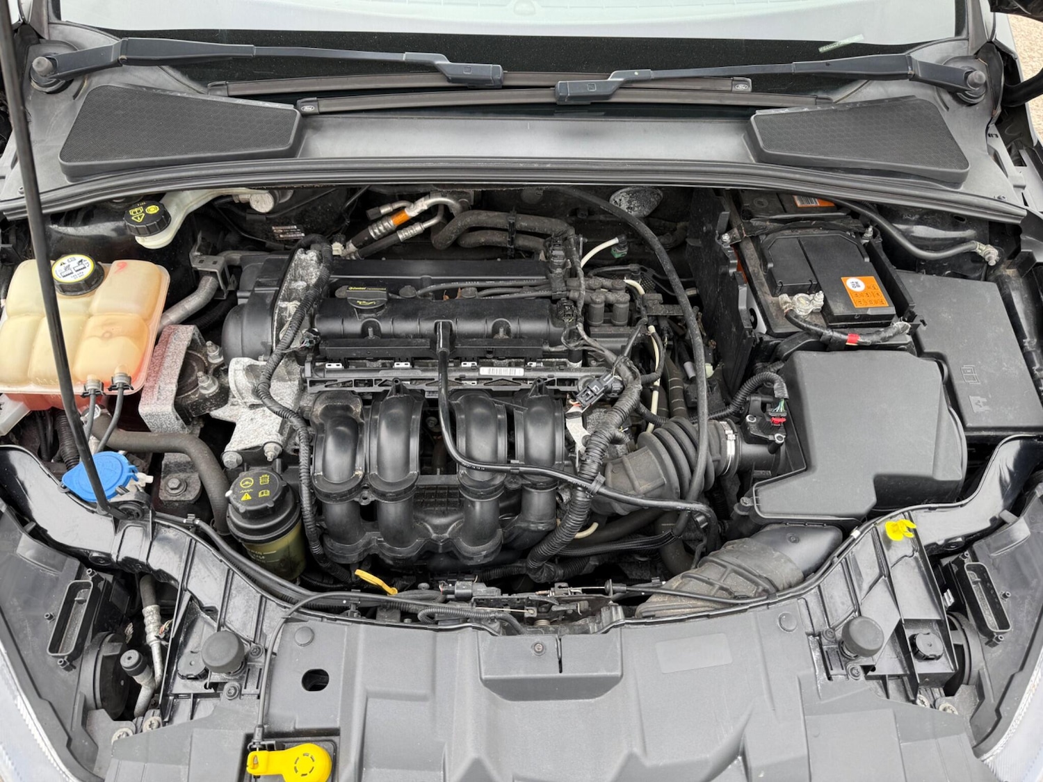 Used Ford Focus 2015 for sale - 78204755: Photo 56