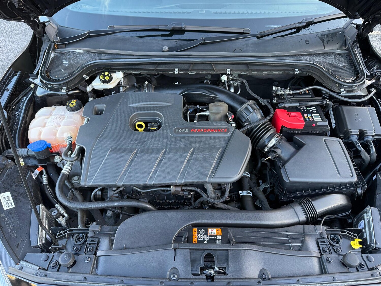 Used Ford Focus for sale - 77021250: Photo 62