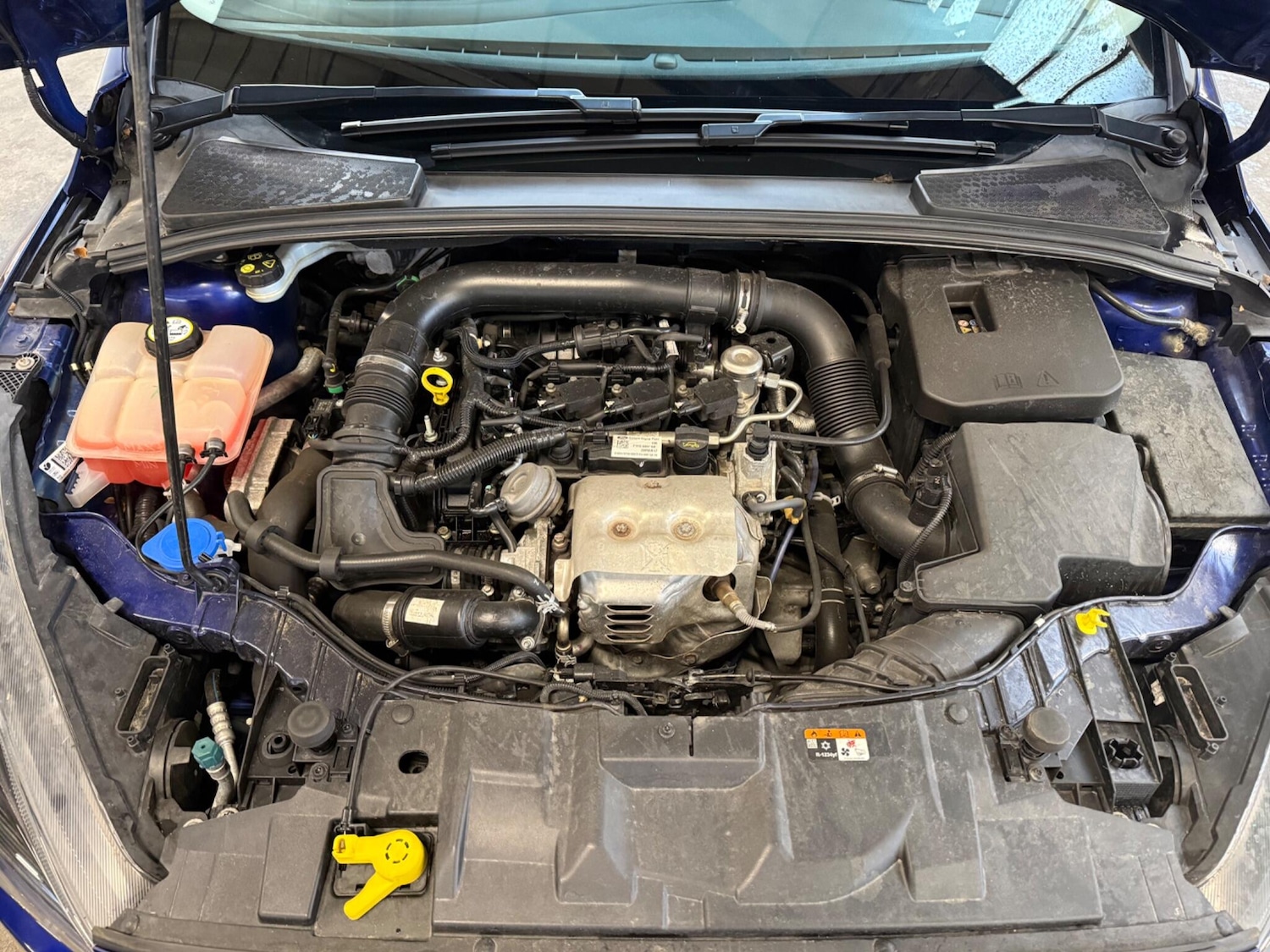 Used Ford Focus for sale - 77484464: Photo 55