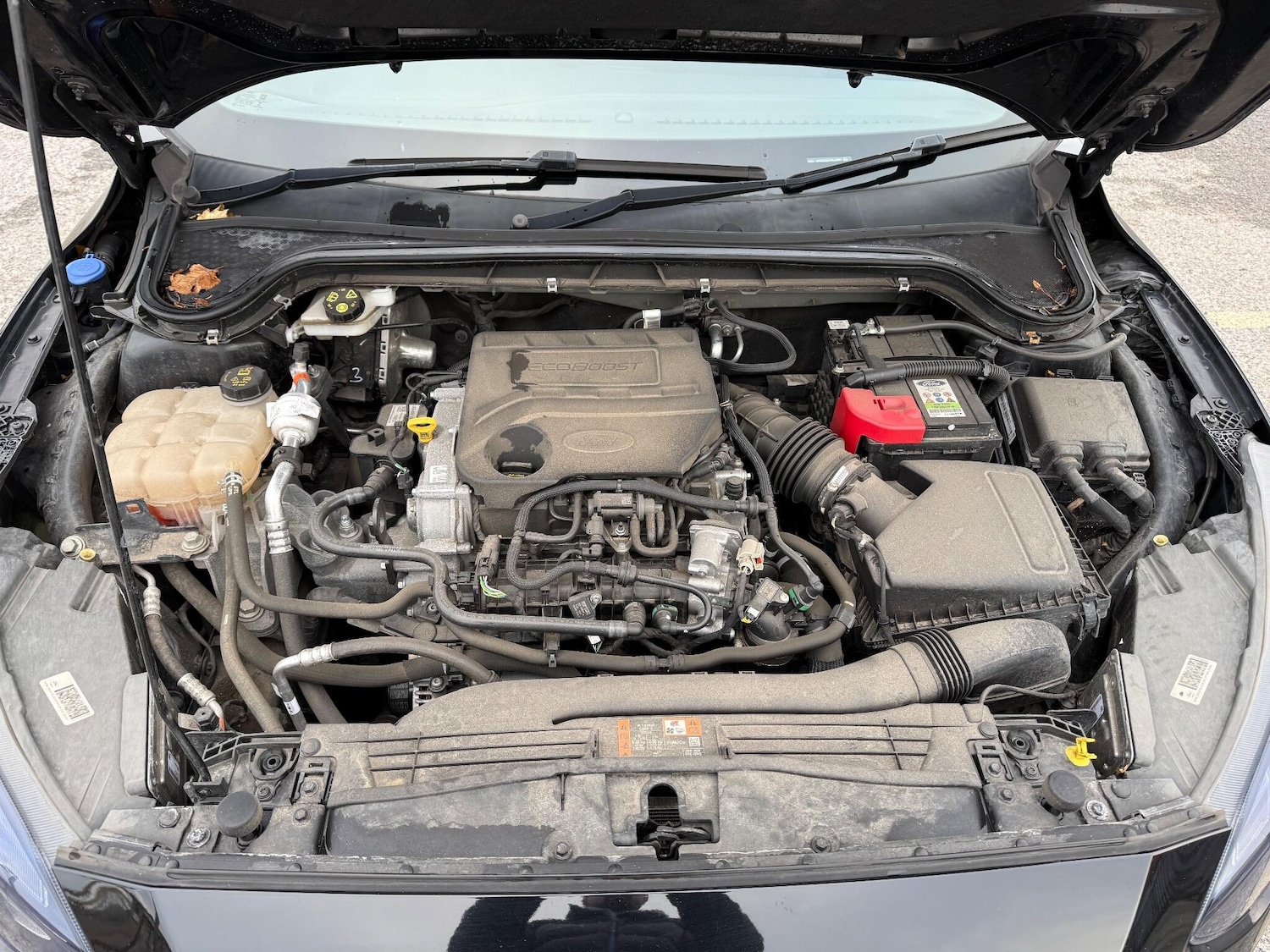 Used Ford Focus 2020 for sale - 77115904: Photo 58