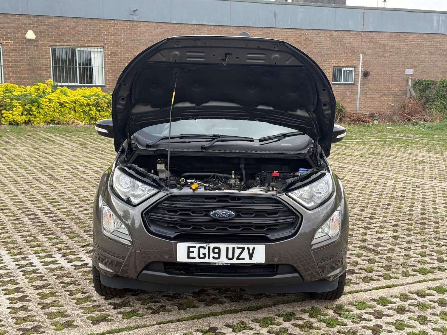 Used Ford Ecosport 2019 for sale - 76987872: Photo 61