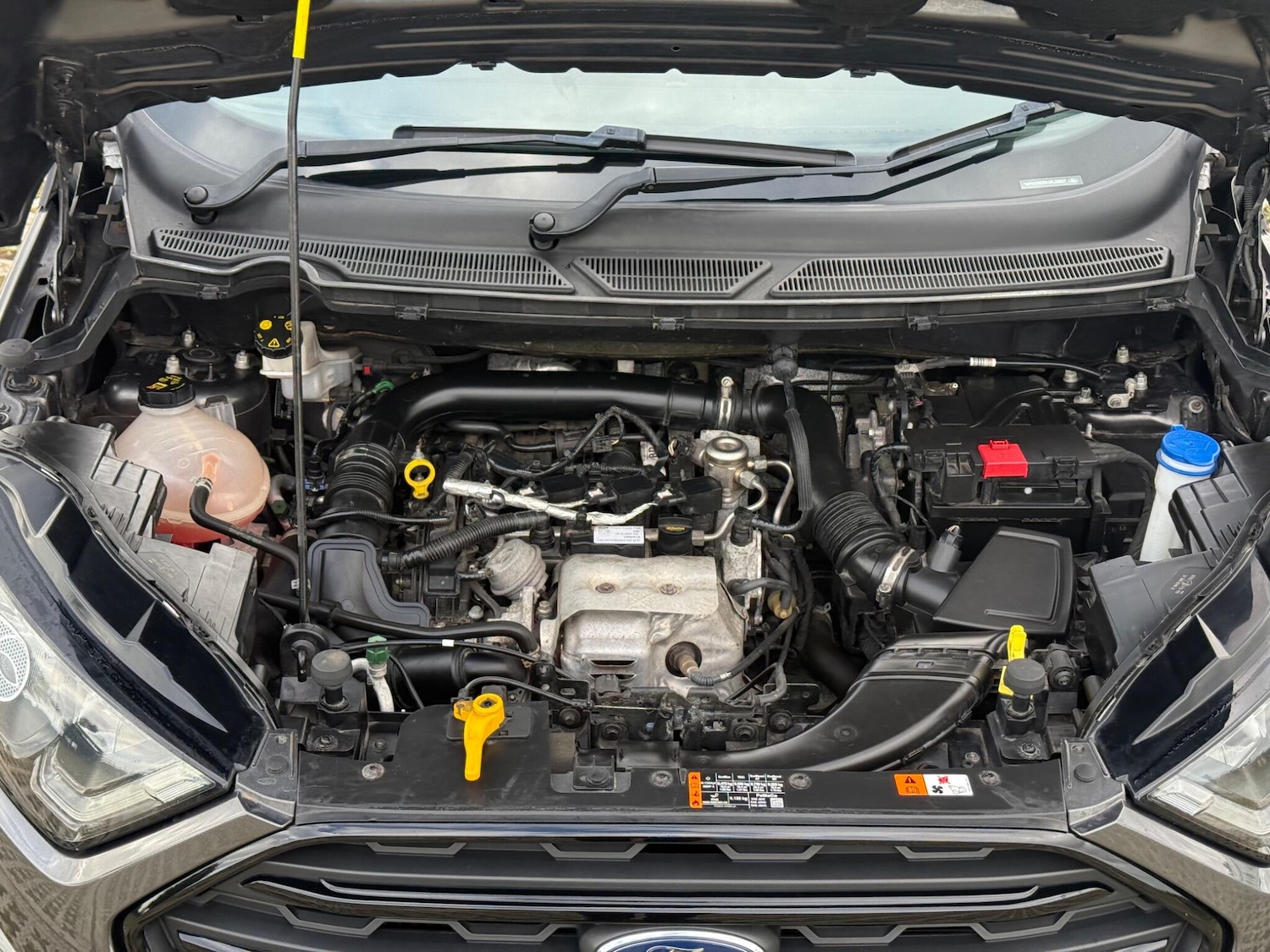 Used Ford Ecosport 2019 for sale - 76987872: Photo 62