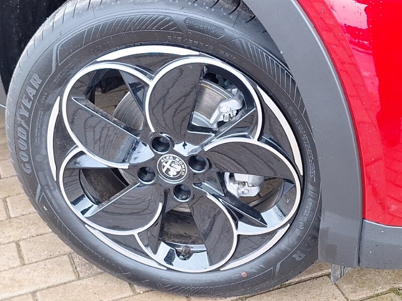 Used Alfa Romeo Junior 2025 for sale - 77678340: Photo 9