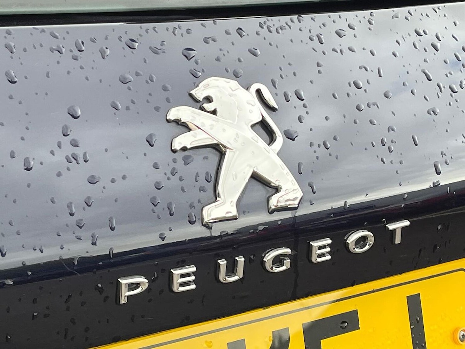 Vehicle 41