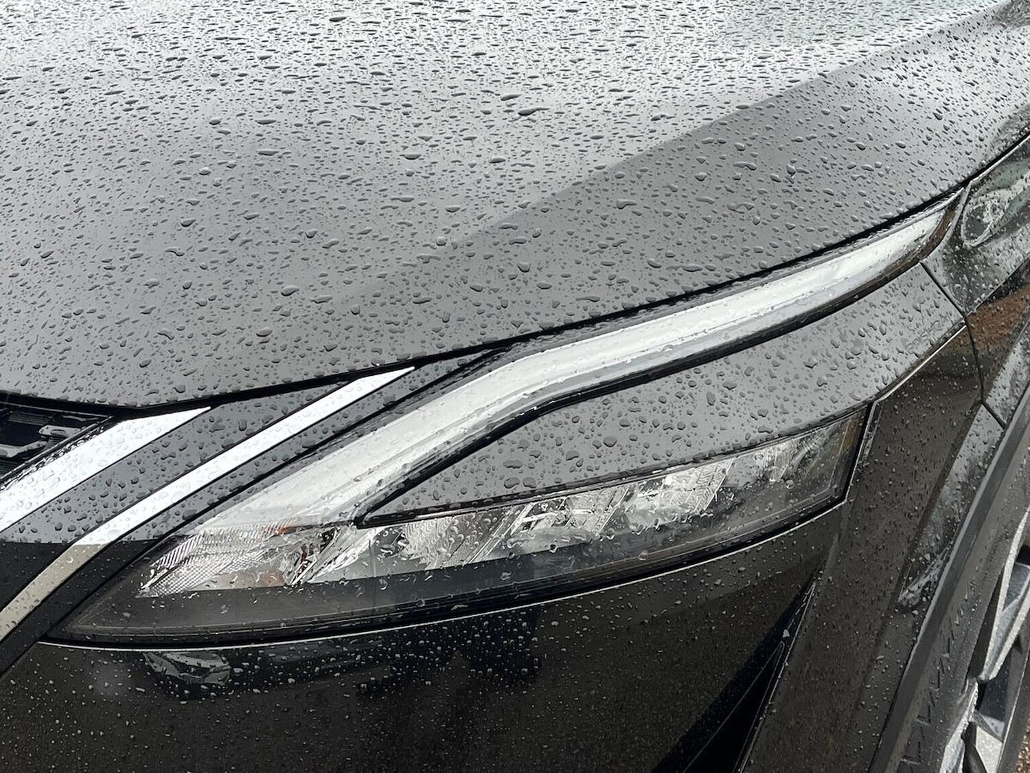 Used Nissan Qashqai 2022 for sale - 76577238: Photo 35