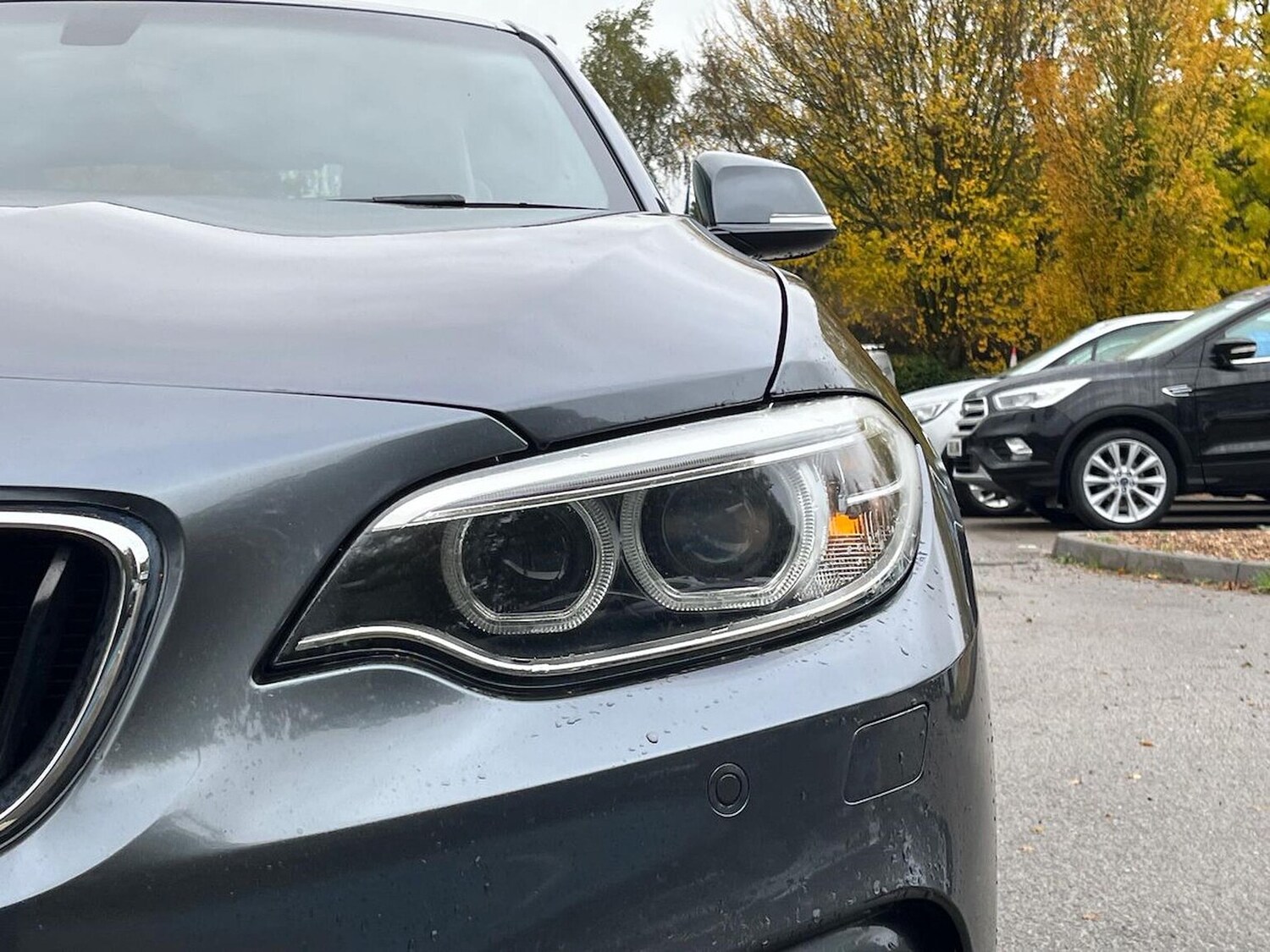 Used BMW 2 Series 2017 for sale - 76324655: Photo 34