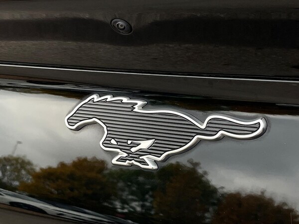 Used Ford Mustang Mach-E 2022 for sale - 76207445: Photo 35