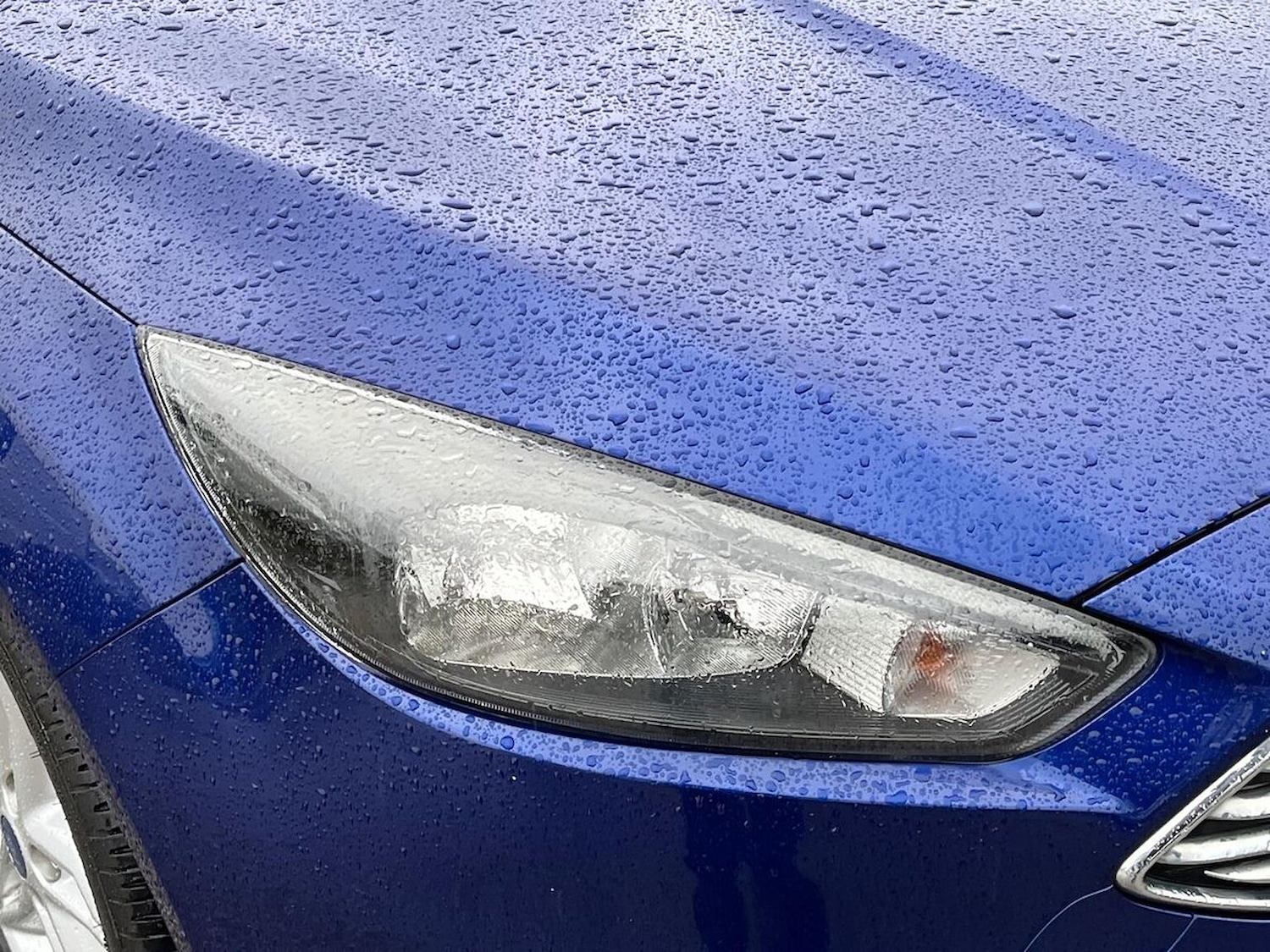 Used Ford Focus 2017 for sale - 76924620: Photo 34