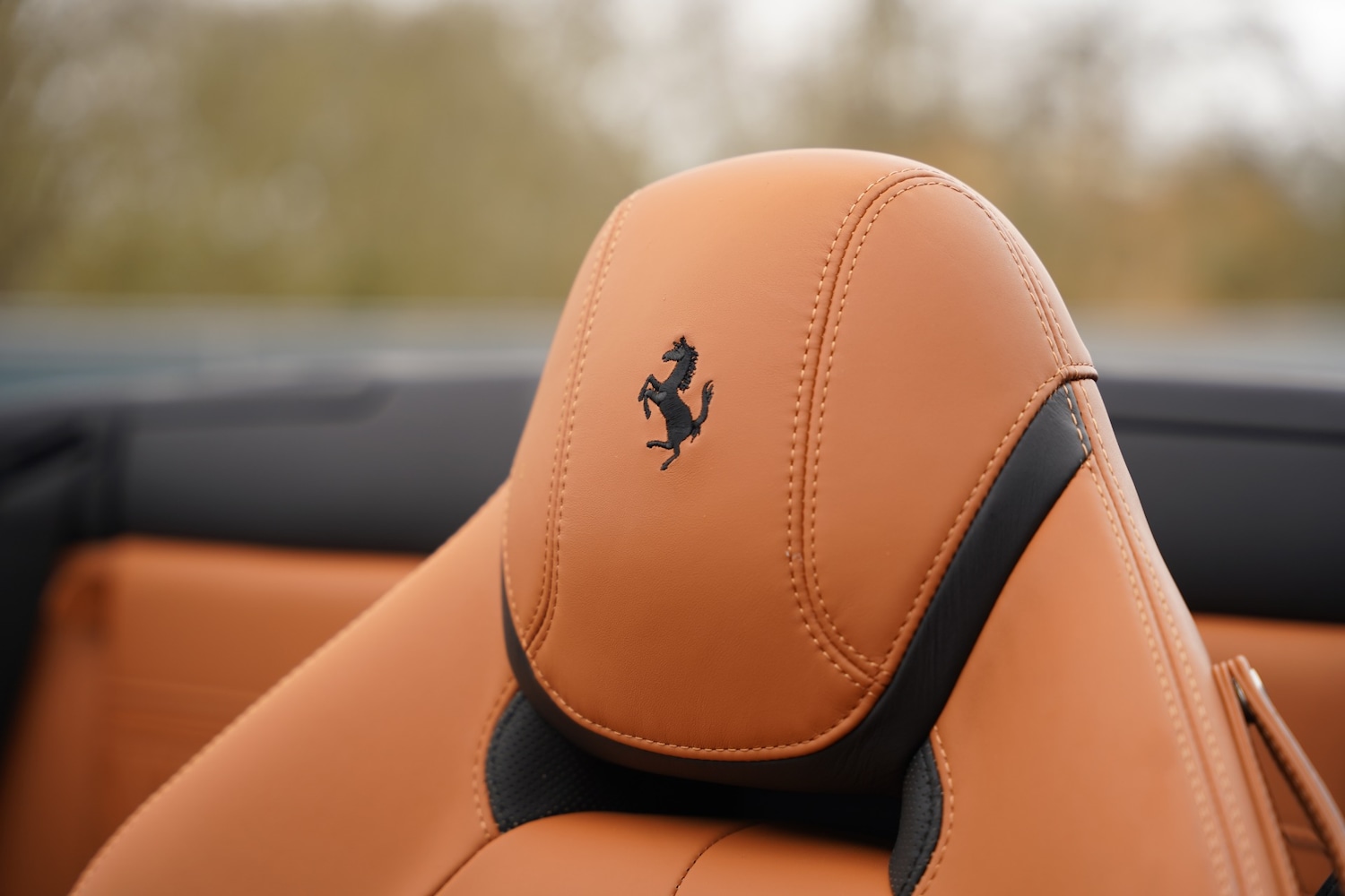 Used Ferrari California 2016 for sale - 77921693: Photo 68