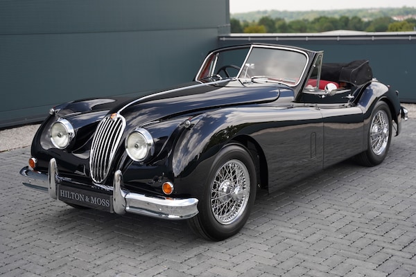 Used Jaguar XK 1956 for sale - 75344496: Photo 11