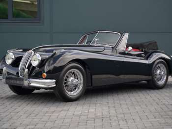 Used Jaguar XK 1956 for sale - 75344496: Photo