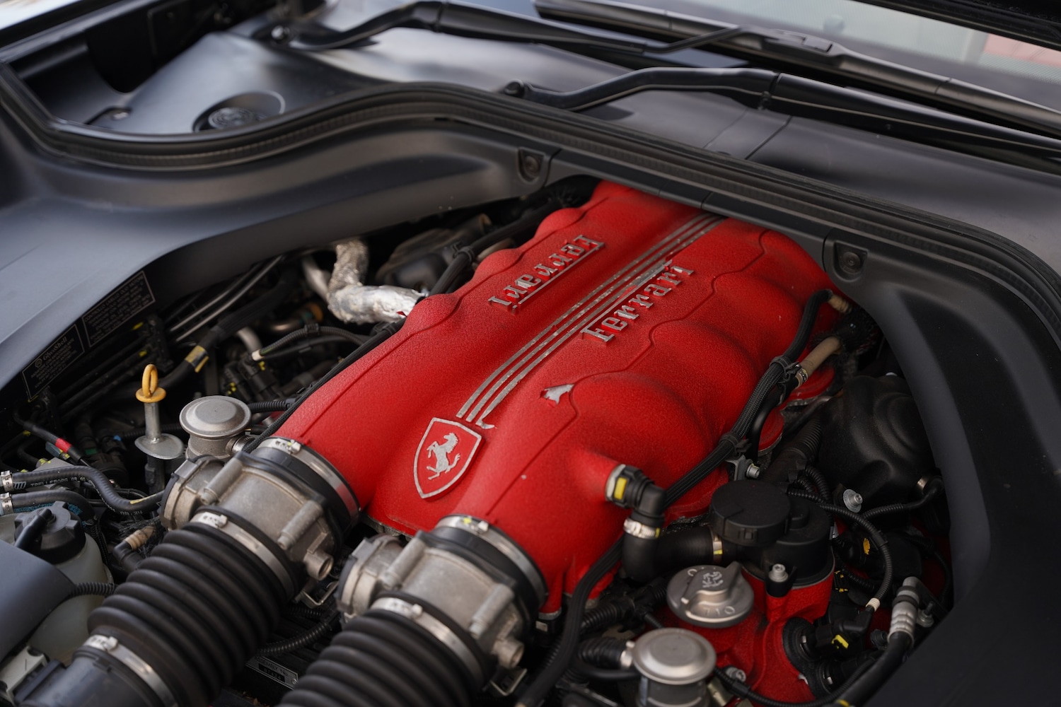 Used Ferrari California 2009 for sale - 77409938: Photo 99