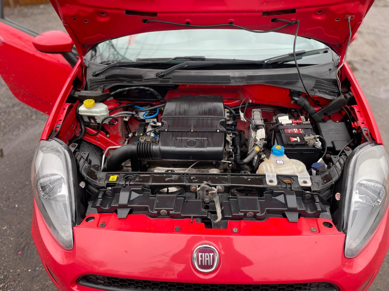 Used Fiat Punto 2014 for sale - 77238269: Photo 26