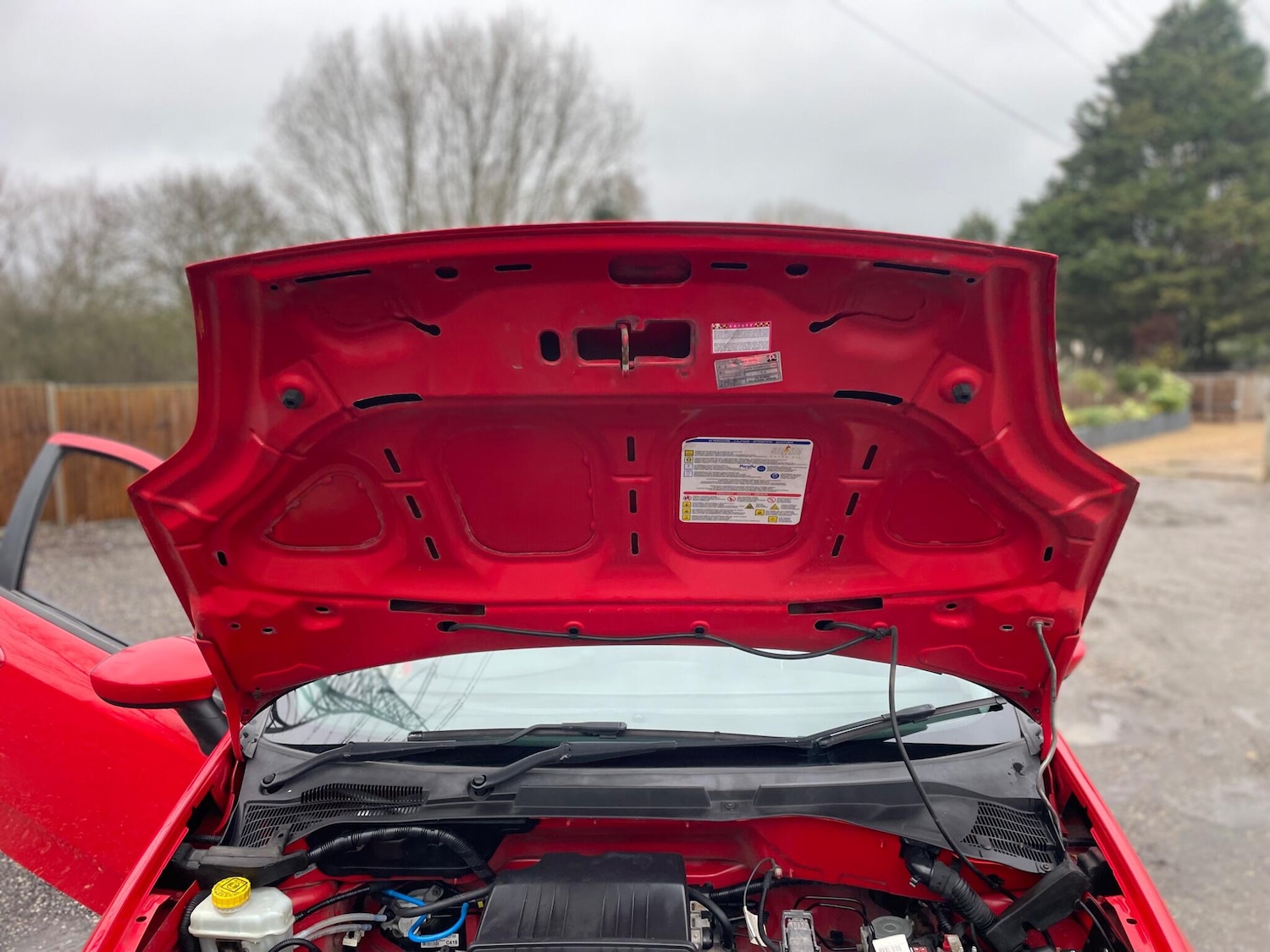 Used Fiat Punto 2014 for sale - 77238269: Photo 27