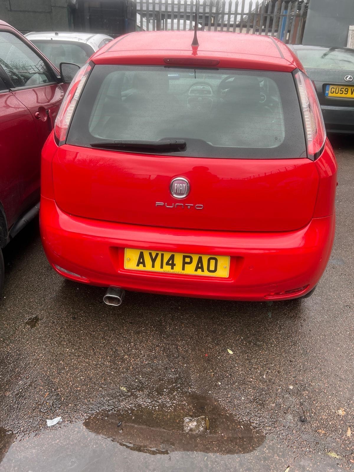 Used Fiat Punto 2014 for sale - 77238269: Photo 4