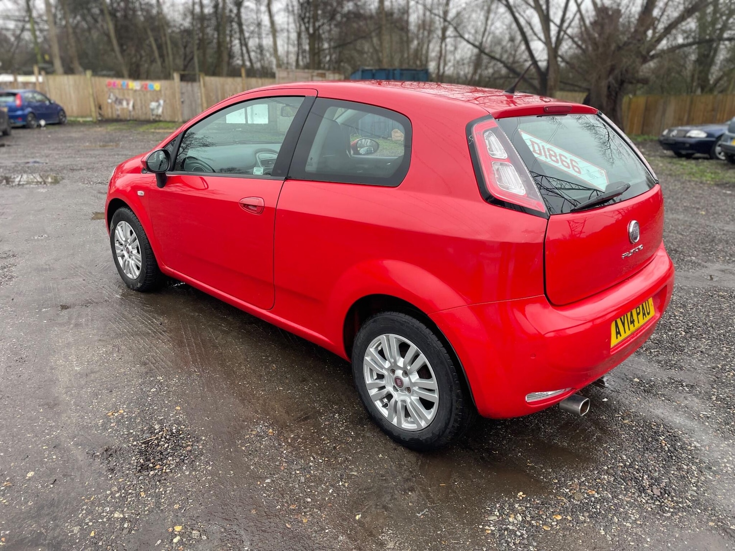 Used Fiat Punto 2014 for sale - 77238269: Photo 5