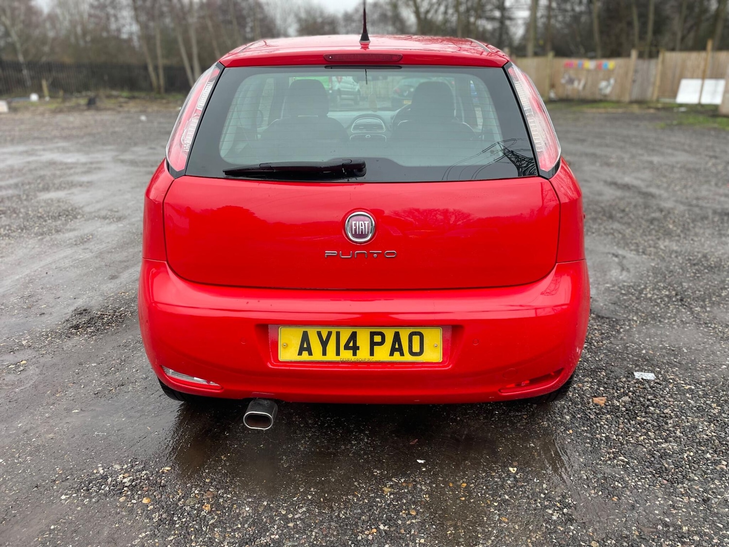 Used Fiat Punto 2014 for sale - 77238269: Photo 6