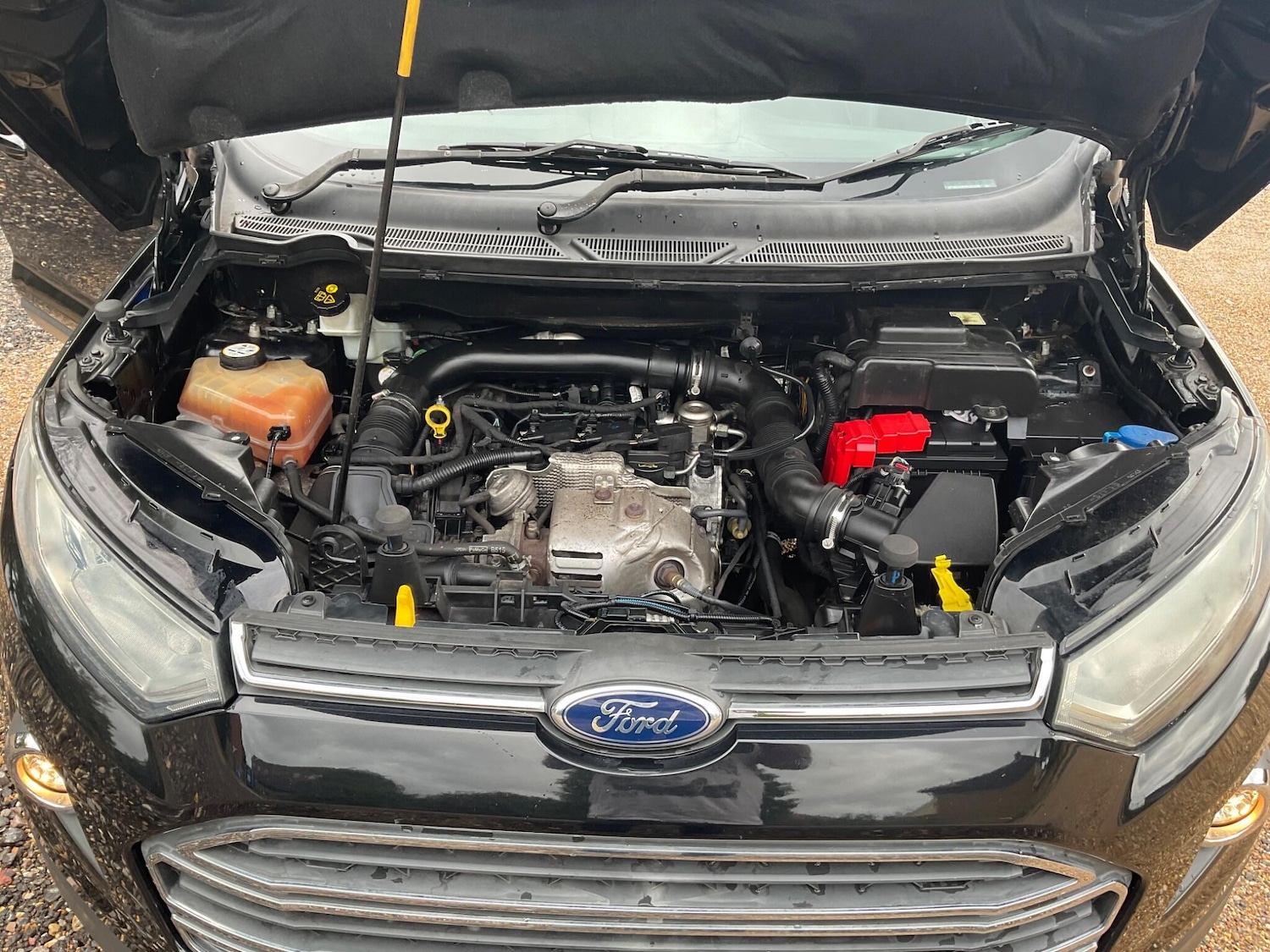 Vehicle 25