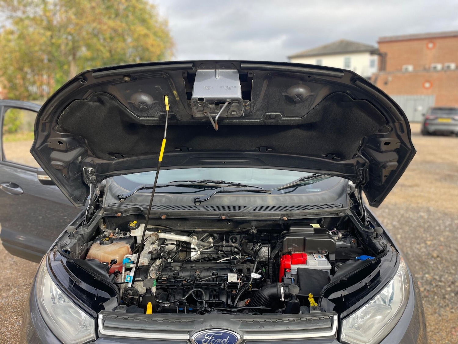 Used Ford Ecosport 2017 for sale - 76499987: Photo 21