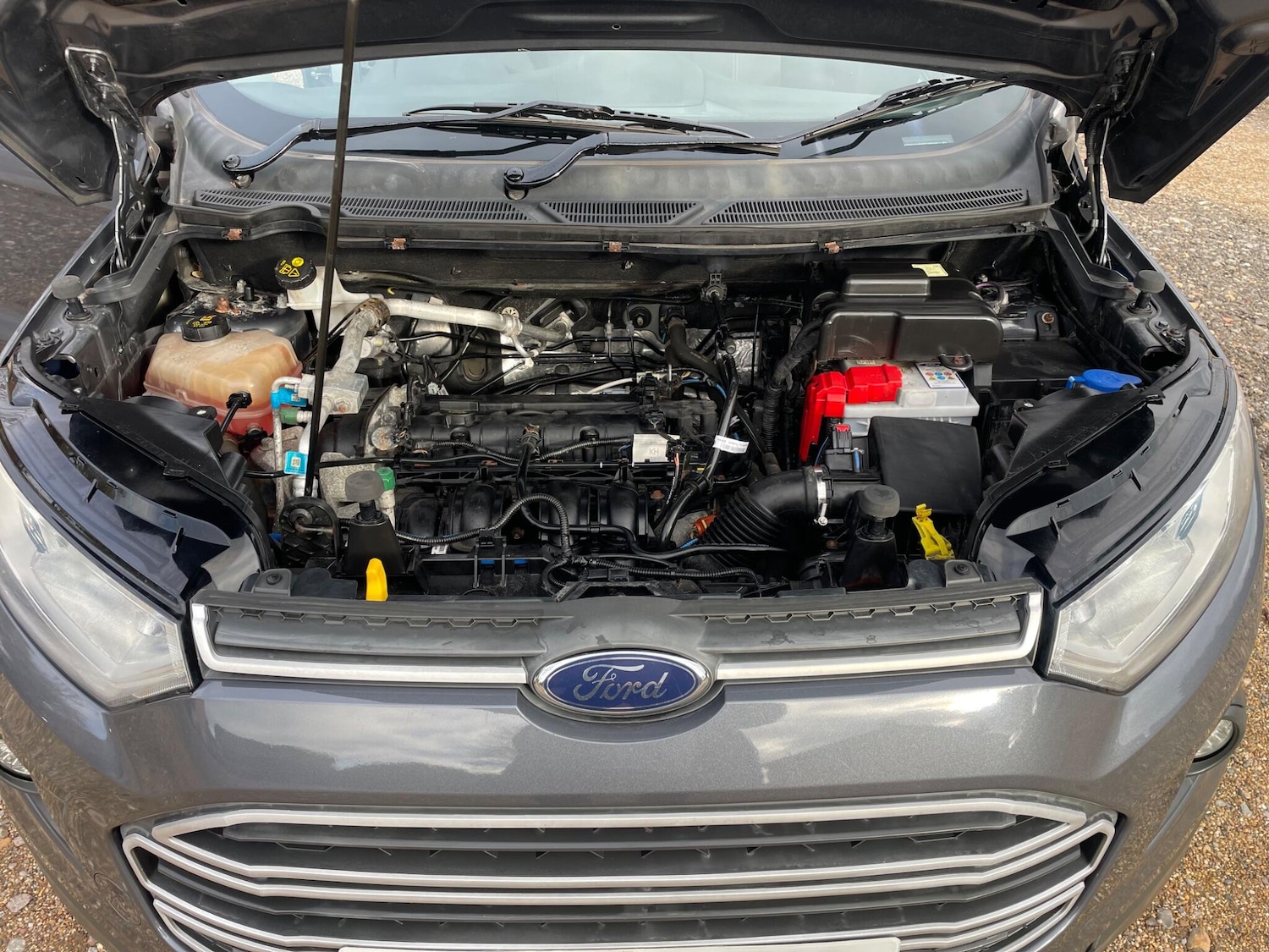 Used Ford Ecosport 2017 for sale - 76499987: Photo 22