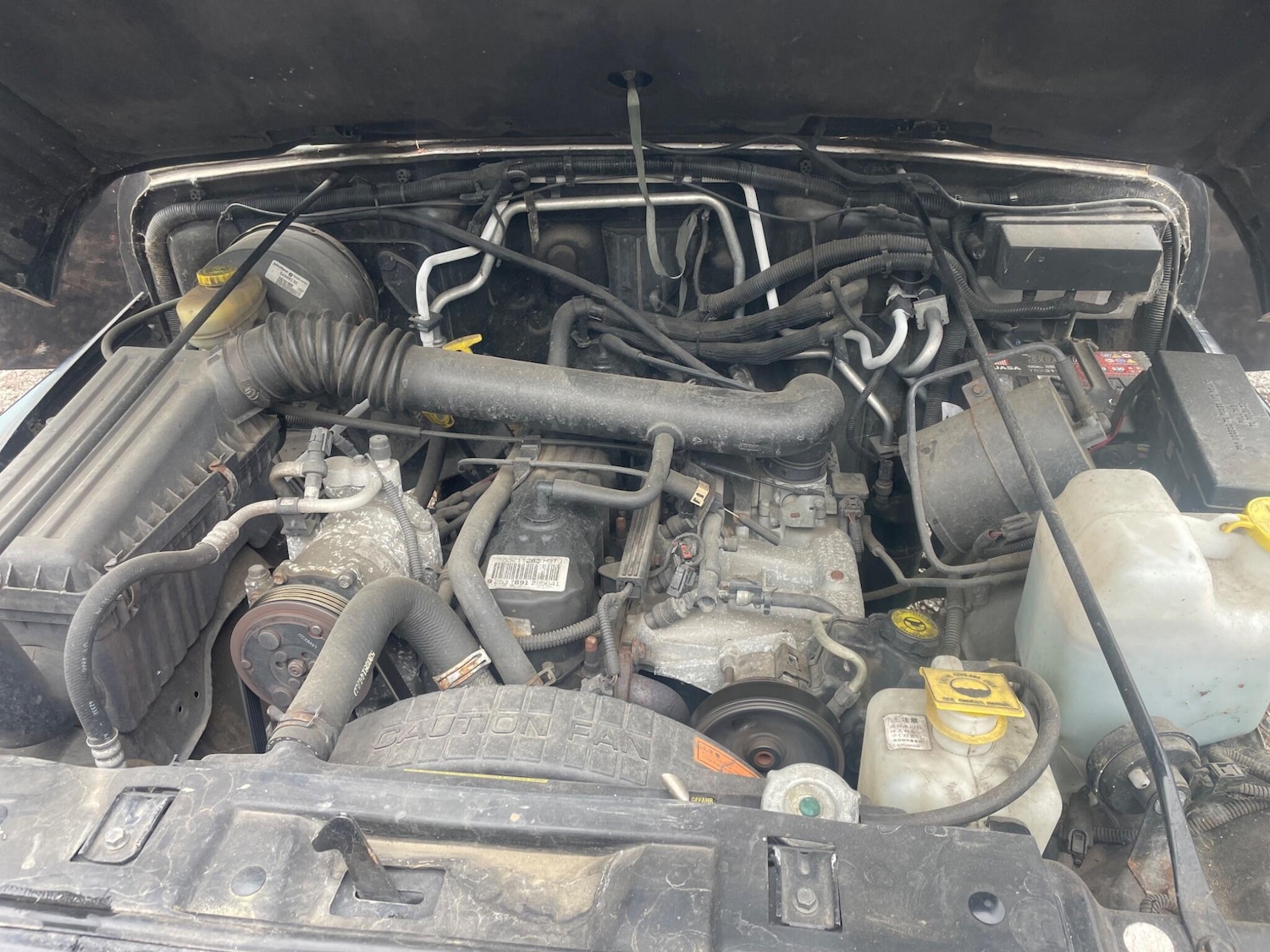 Used Jeep Wrangler 2020 for sale - 76992661: Photo 14