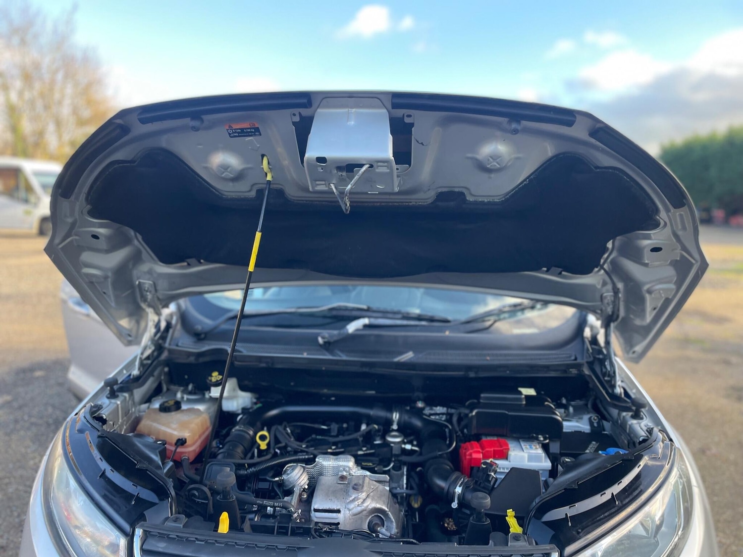 Used Ford Ecosport 2017 for sale - 76899428: Photo 27