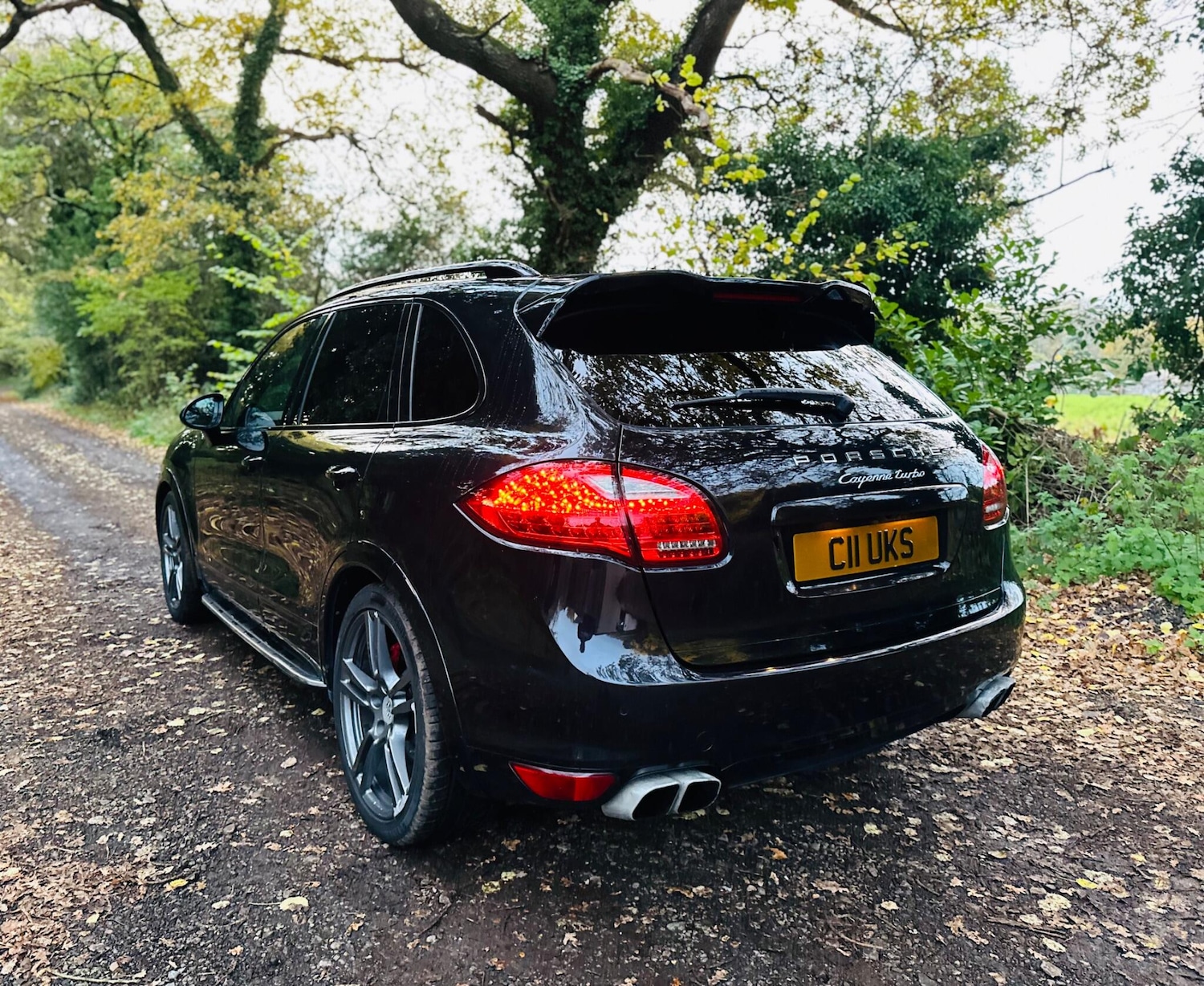 Used Porsche Cayenne for sale - 76715093: Photo 10