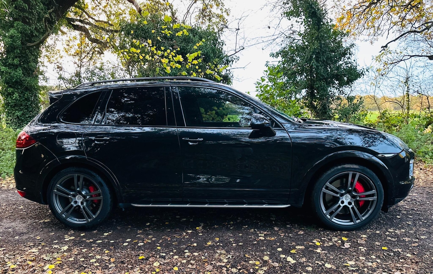 Used Porsche Cayenne for sale - 76715093: Photo 15