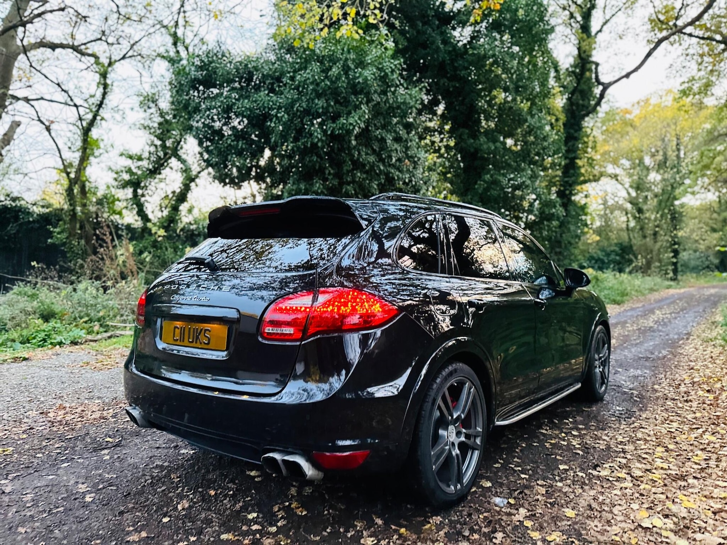 Used Porsche Cayenne for sale - 76715093: Photo 16