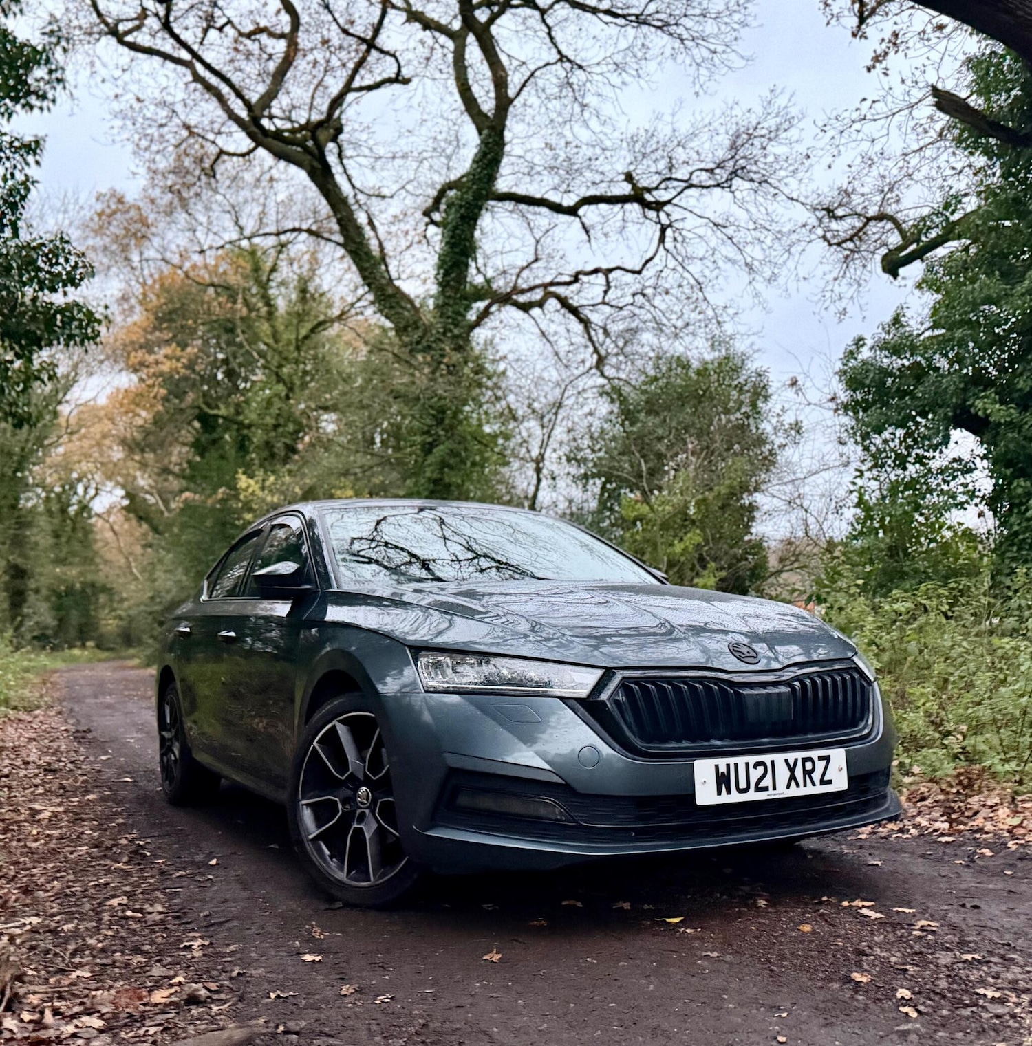 Used Skoda Octavia 2021 for sale - 76839826: Photo 1