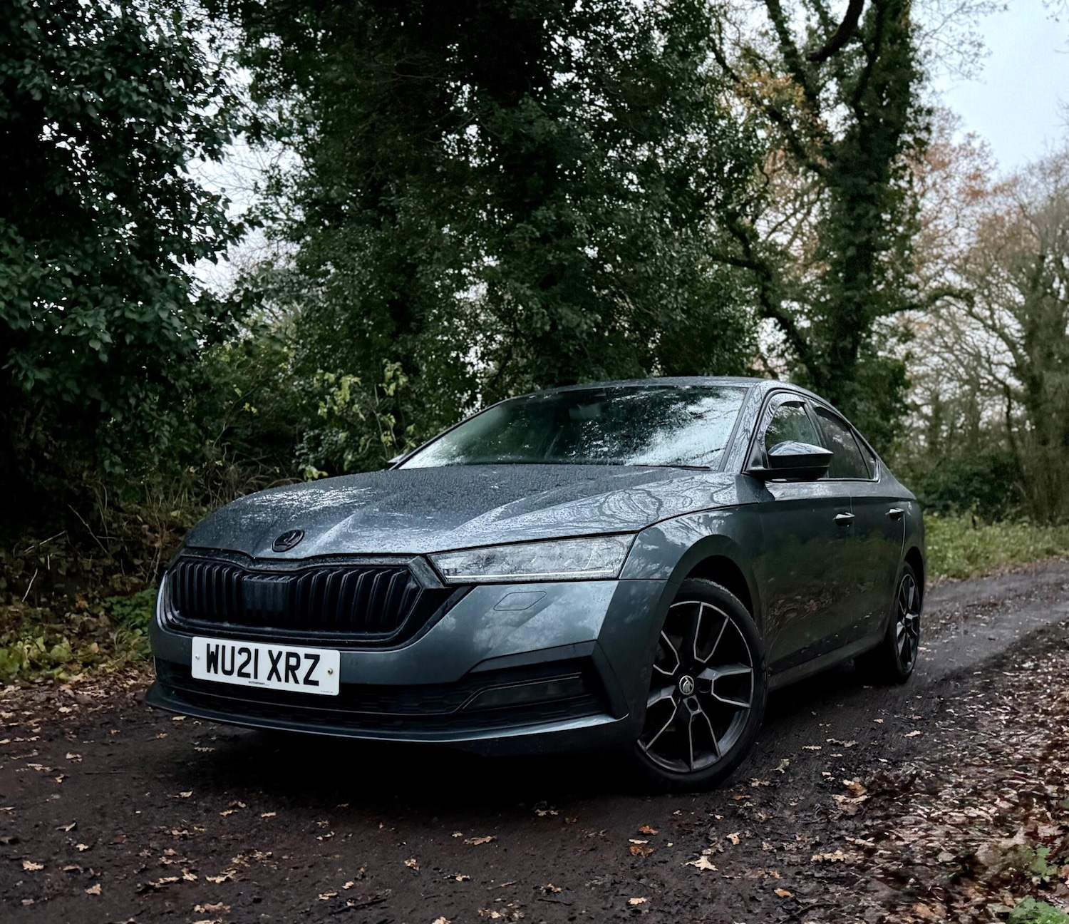 Used Skoda Octavia 2021 for sale - 76839826: Photo 10