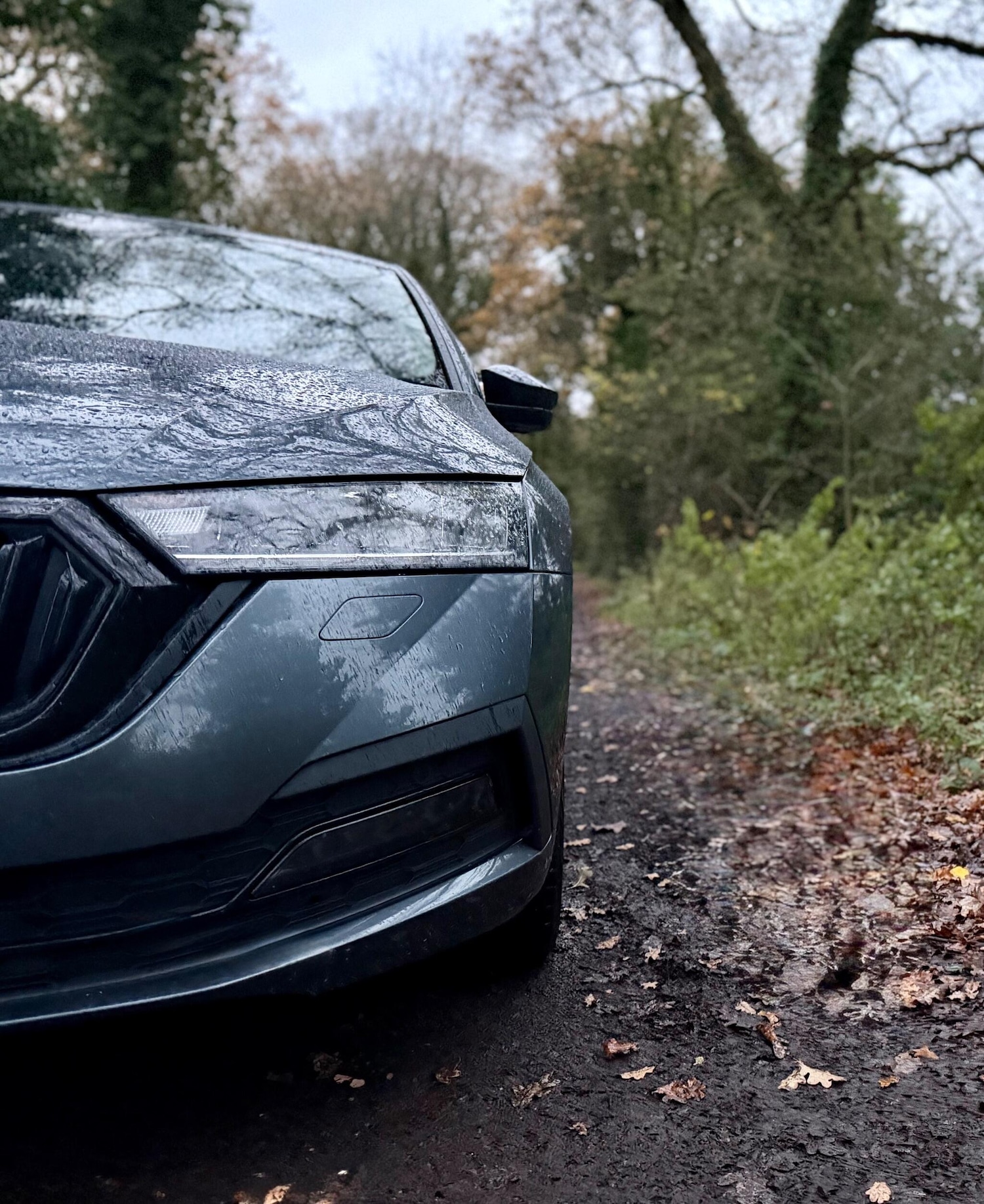 Used Skoda Octavia 2021 for sale - 76839826: Photo 11