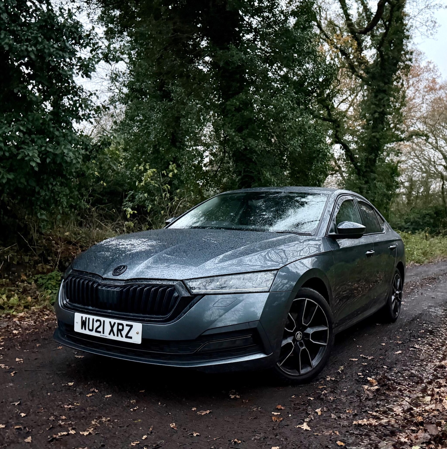 Used Skoda Octavia 2021 for sale - 76839826: Photo 12