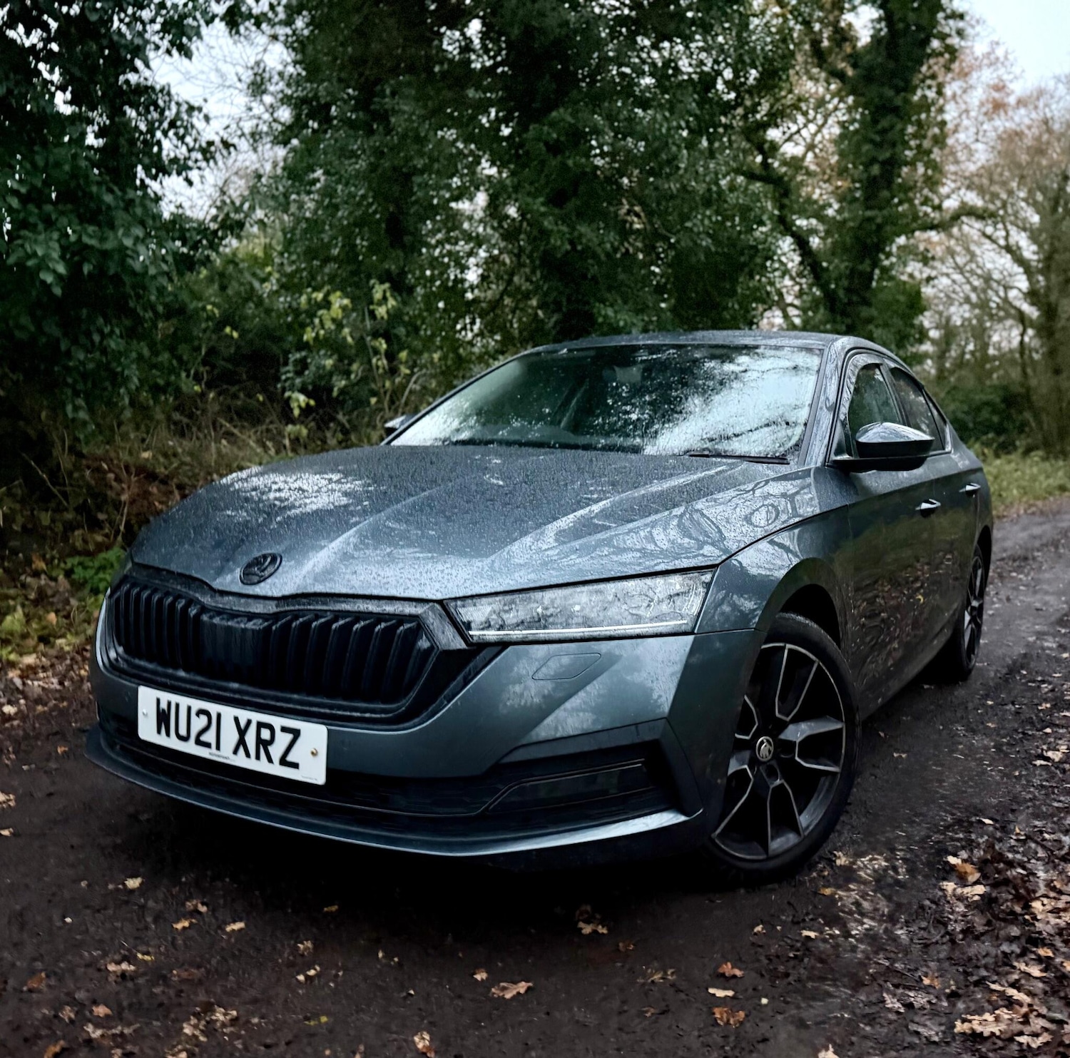 Used Skoda Octavia 2021 for sale - 76839826: Photo 13