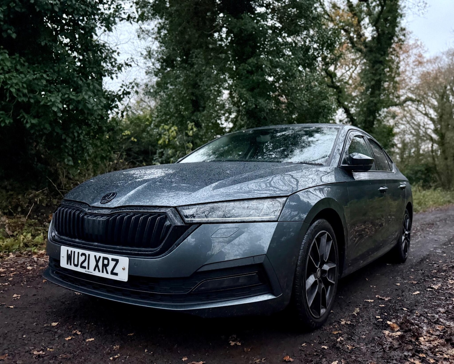 Used Skoda Octavia 2021 for sale - 76839826: Photo 14